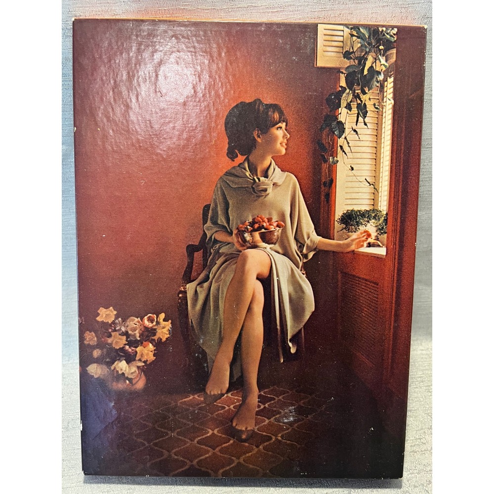 Vintage Carol Brent Sheer Hosiery Reinforced Heel Beige Stockings NIB Med 10-11